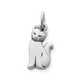 Cat Charm
