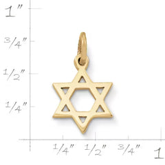 Star of David Charm