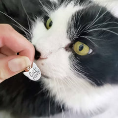 "Cat Mom" Charm