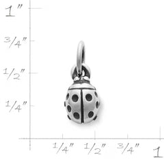 Ladybug Charm