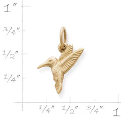 Hummingbird Charm