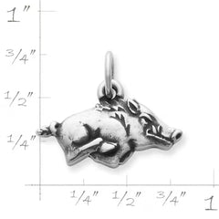 Arkansas Razorback Charm