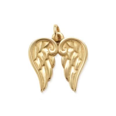Angel Wings Charm